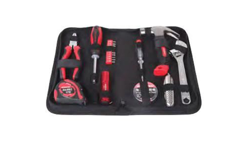 19 pcs Tool Set (W1219)